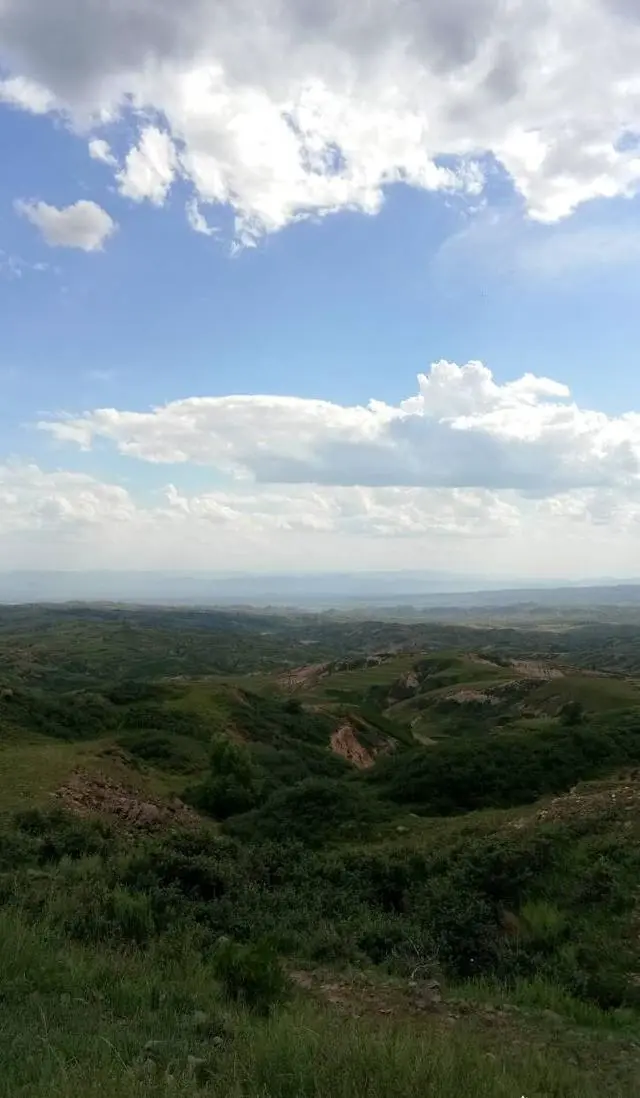 你觉得张北草原的魅力在哪里？