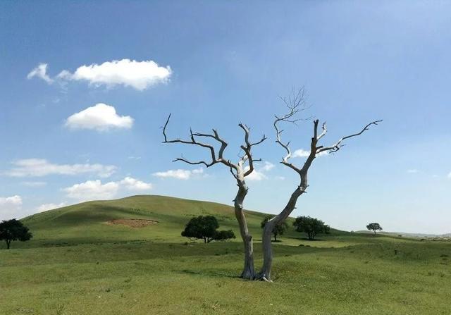 按照现在国内情况，十月份国内旅游能正常进行吗？