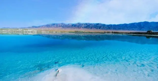 口罩过后去哪里观鸟?哪里有好玩的观鸟点?