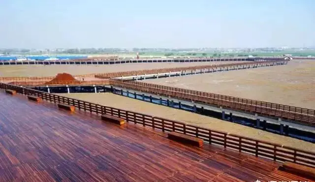 兴城红海滩的景色怎么样？具体位置在哪？