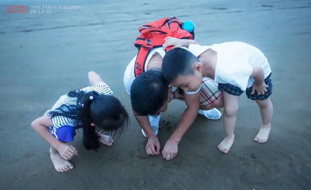 你住过的有特色的民宿是什么样子的？