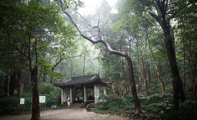 杭州哪些旅游景点最受欢迎？