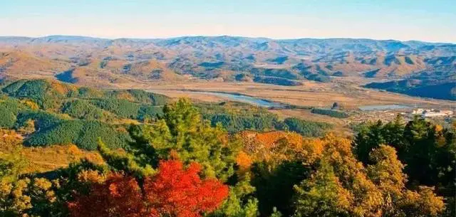 七,八,九月去伊春旅游有什么好推荐?