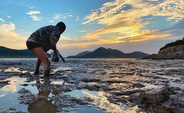 你住过的有特色的民宿是什么样子的？