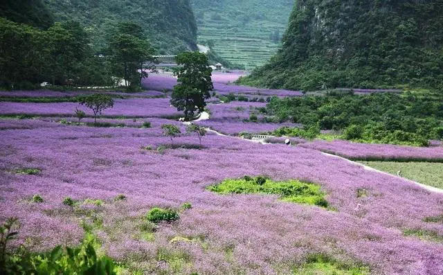 自费去贵州游，什么季节最合适？