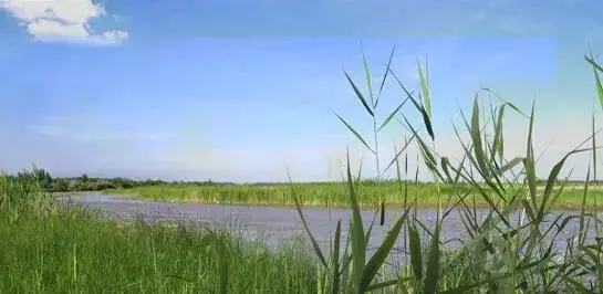 你觉得保定最美的地方是哪里？