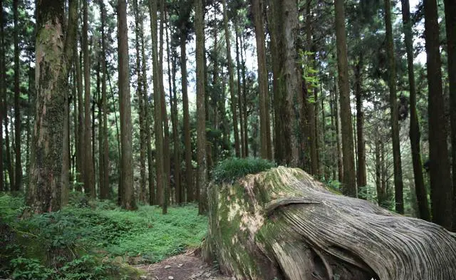 不想买门票，又想看很多景，国内去哪几个地方合适一些？