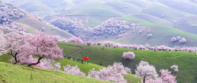 退休了，什么旅游方式最好？