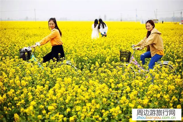 清明节放假三天，口罩没有结束情况下，会出现人员大规模流动吗？