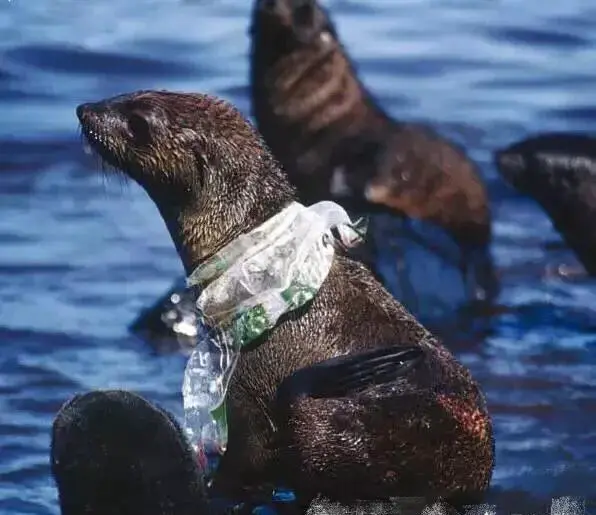 全球被禁止参观的10个地方是哪里？