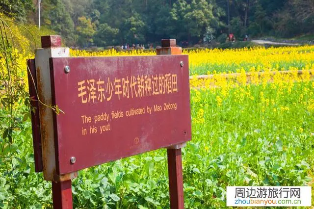 为什么有那么多的人都去韶山？