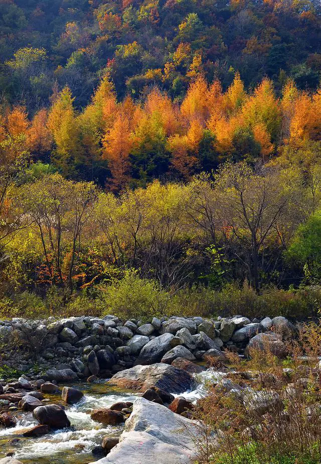 环秦岭自驾游线路图推荐