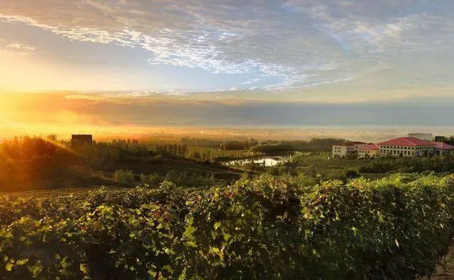 河北昌黎有什么好玩的地方？