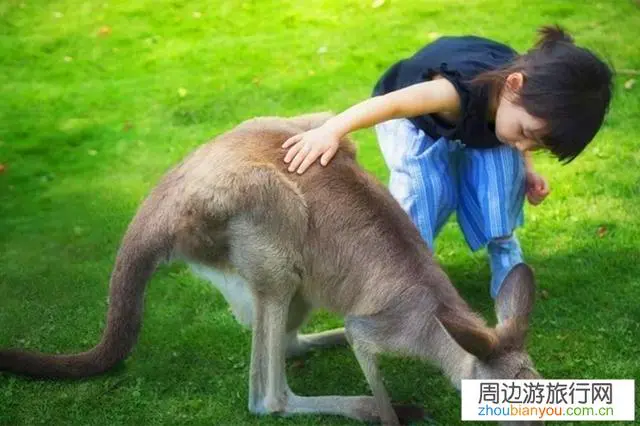 春节去澳洲旅游刚回来,如何在低调的前提下让亲戚朋友同事都知道?