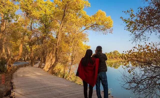 新疆都有哪些胡杨林风景区,最美的是哪一个?