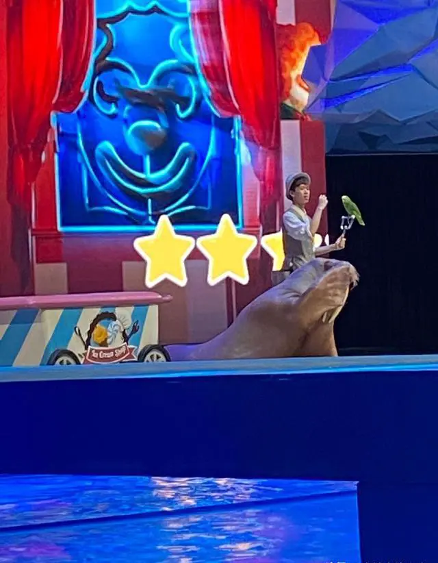 在上海上下班高峰期什么出行方式和出行策略最快?