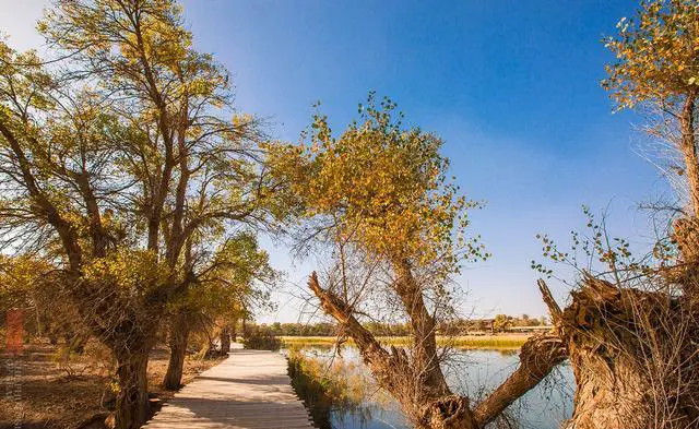 去新疆旅行多少天比较合适？