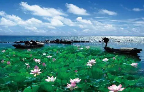 武汉周边哪里适合带着孩子游玩?