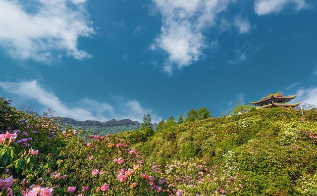4至5月适合去哪里踏春旅游?
