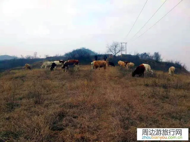 现在是特殊情况，你们想去哪游玩？