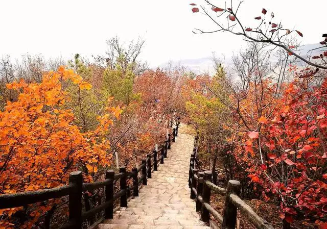 过年弟弟想带着他一家四口和岳父岳母以及小姑子一家三口来你所在的城市游玩，怎么办？