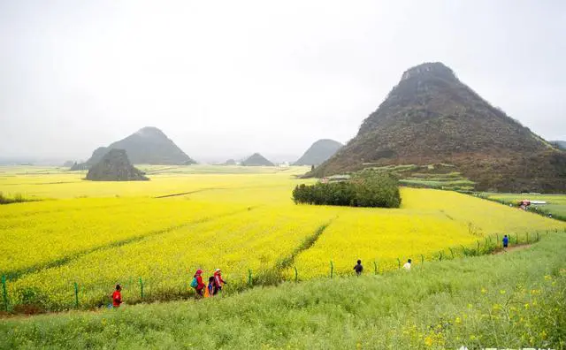 3月去云南旅游都需要做什么准备，哪些地方必须要去？