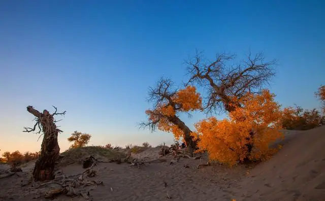 青海旅游从哪里起、止，那么最佳青海游线路是？