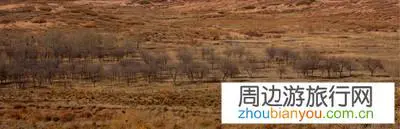 投资7666万！武威将提升改造“神州荒漠野生动物园”, 你怎么看？