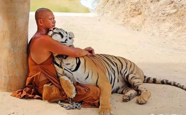 世界各地有哪些挑战内心极限的旅游景点呢？