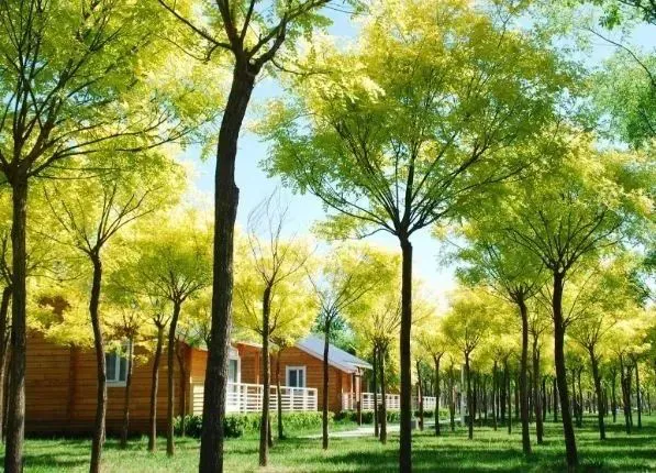 天津周末周边游目的地，周末必须安排！