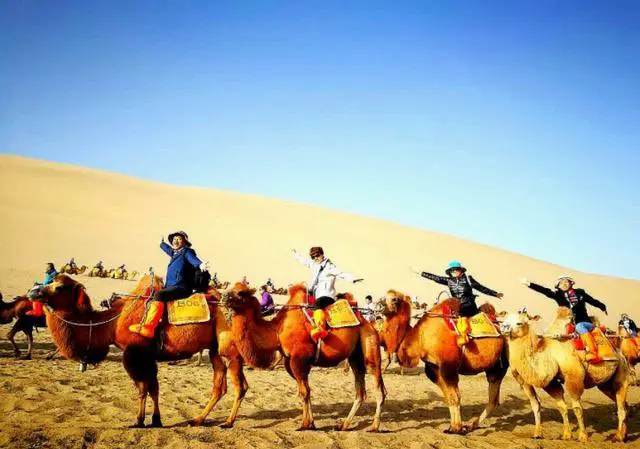 自驾游,两家四人开自己的车,费用如何分摊合理?