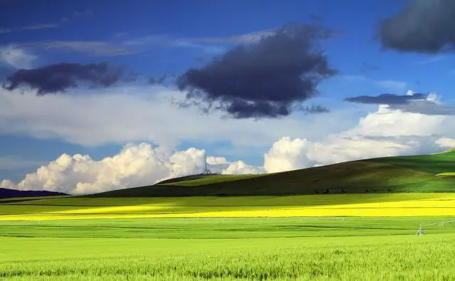 退休后老人自驾游有哪些优势和弊端，需要注意哪些问题？