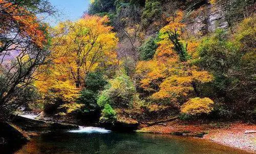 宝鸡黄柏塬景区怎样？