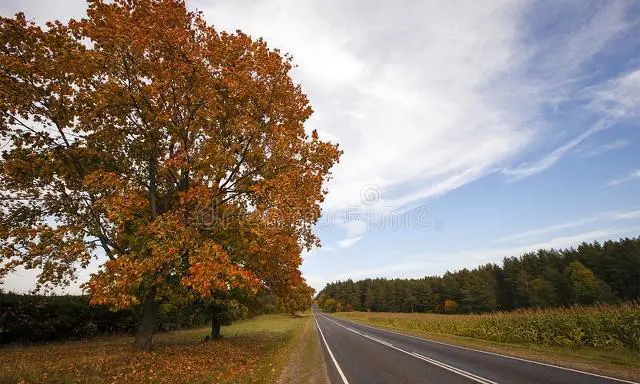 白俄罗斯是个怎样的国家？