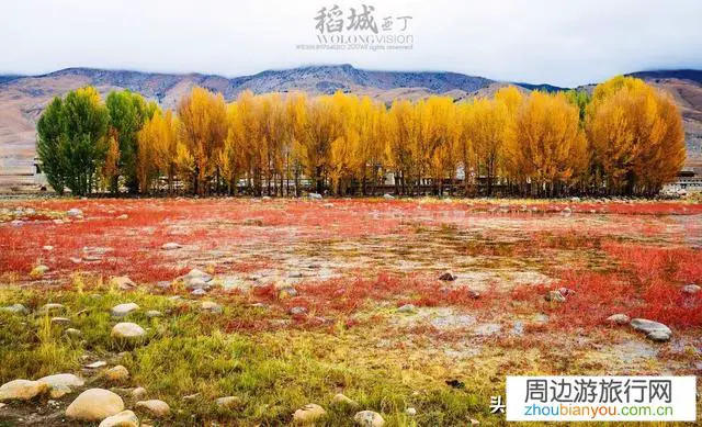 情侣第一次旅行适合去哪里？