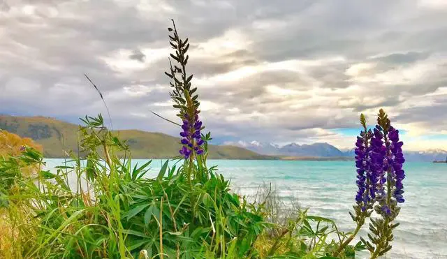 炎热的夏天有哪些避暑的好去处？