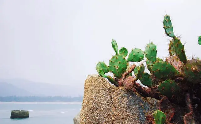 这个季节去哪里旅游好?