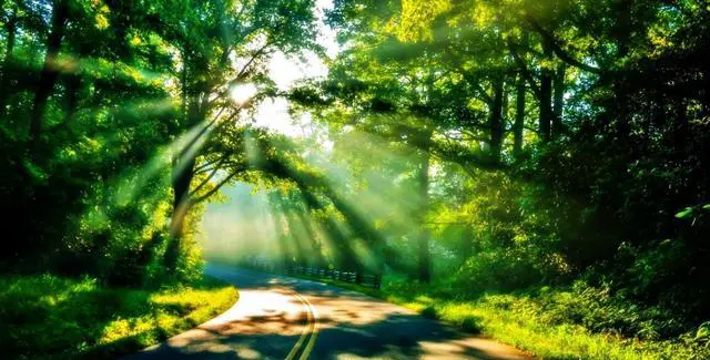 假期对你来说意味着什么？