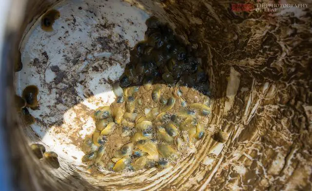 你住过的有特色的民宿是什么样子的？