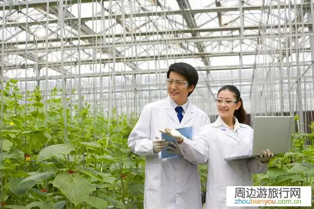 5G信号若全面覆盖且套餐资费也降低,你们愿意回乡村发展吗?