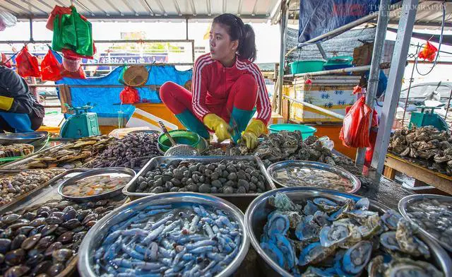 海南有哪些渔港码头？