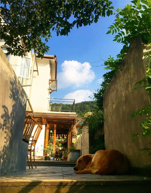 去杭州旅游有哪些值得推荐的民宿？