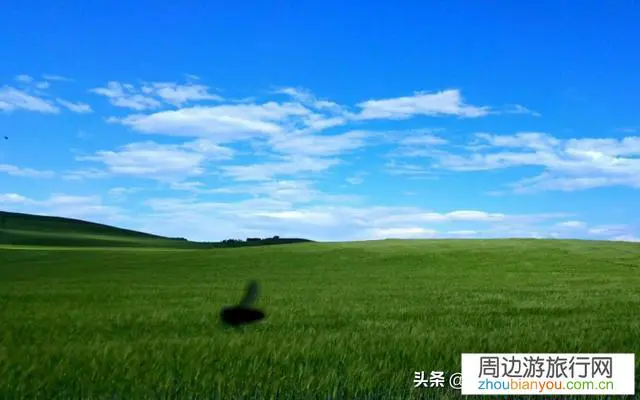 现在黑龙江的可以去内蒙古呼伦贝大草原旅游么?