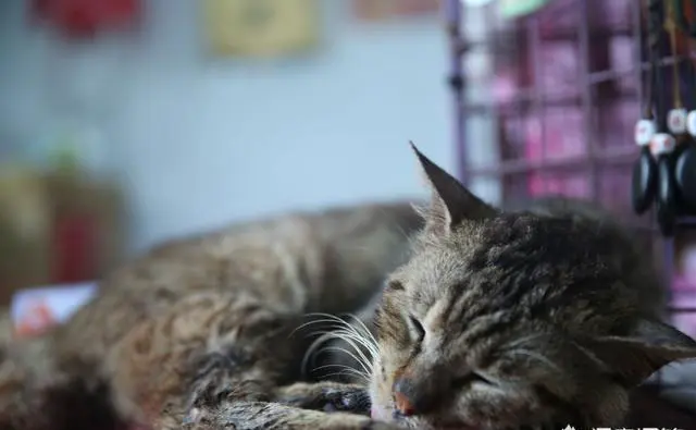 带孩子游玩弯弯有哪些攻略？