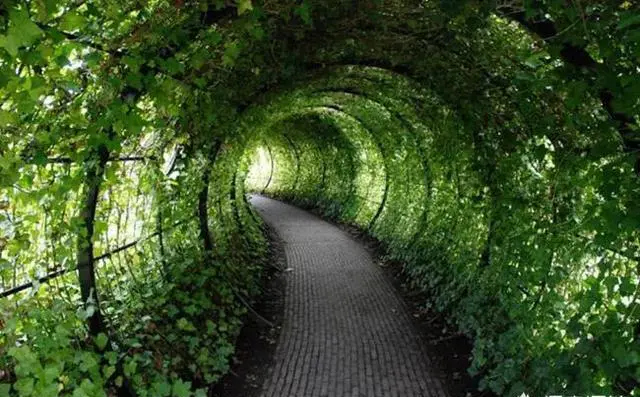 全球被禁止参观的10个地方是哪里？