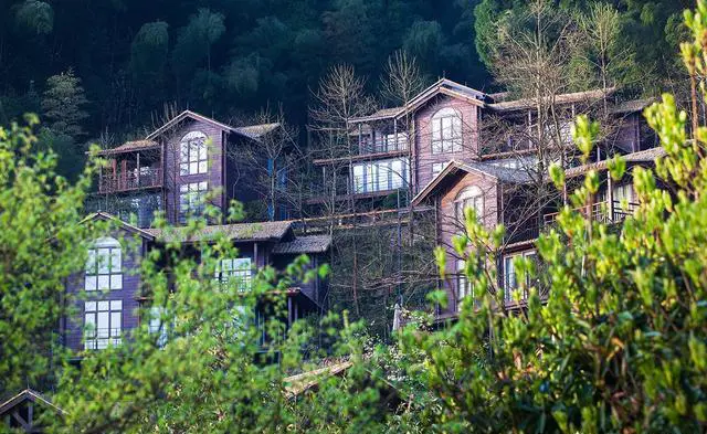 五一假期去哪玩？