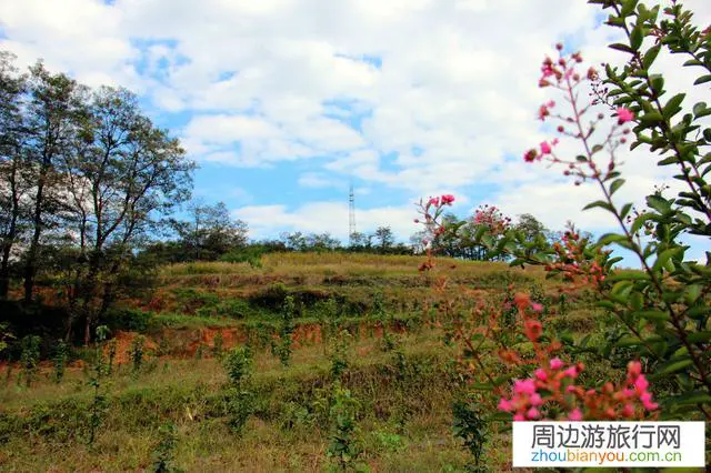 在旅游的过程中，你愿意与今日头条分享你的快乐吗？为什么？