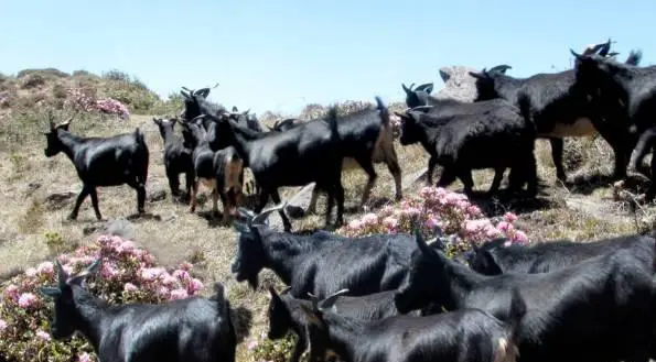 禄劝三江口温泉在哪里?禄劝三江口温泉好玩吗？