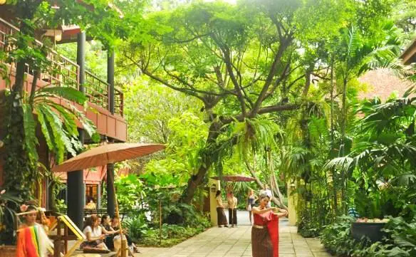 曼谷有什么地方可以推荐去玩的吗?