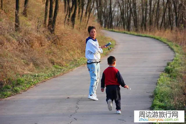 你认为自由行这种方式最适合哪类人?